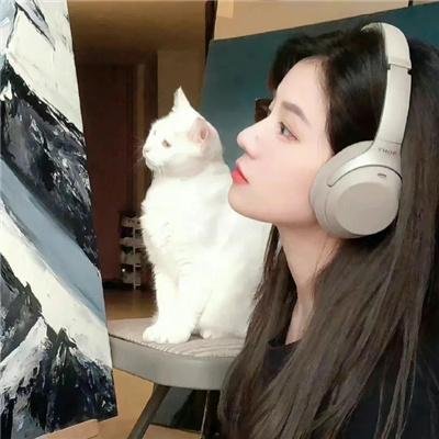 我永远也不会再战斗了