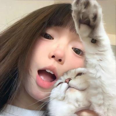 戴帽子的猫